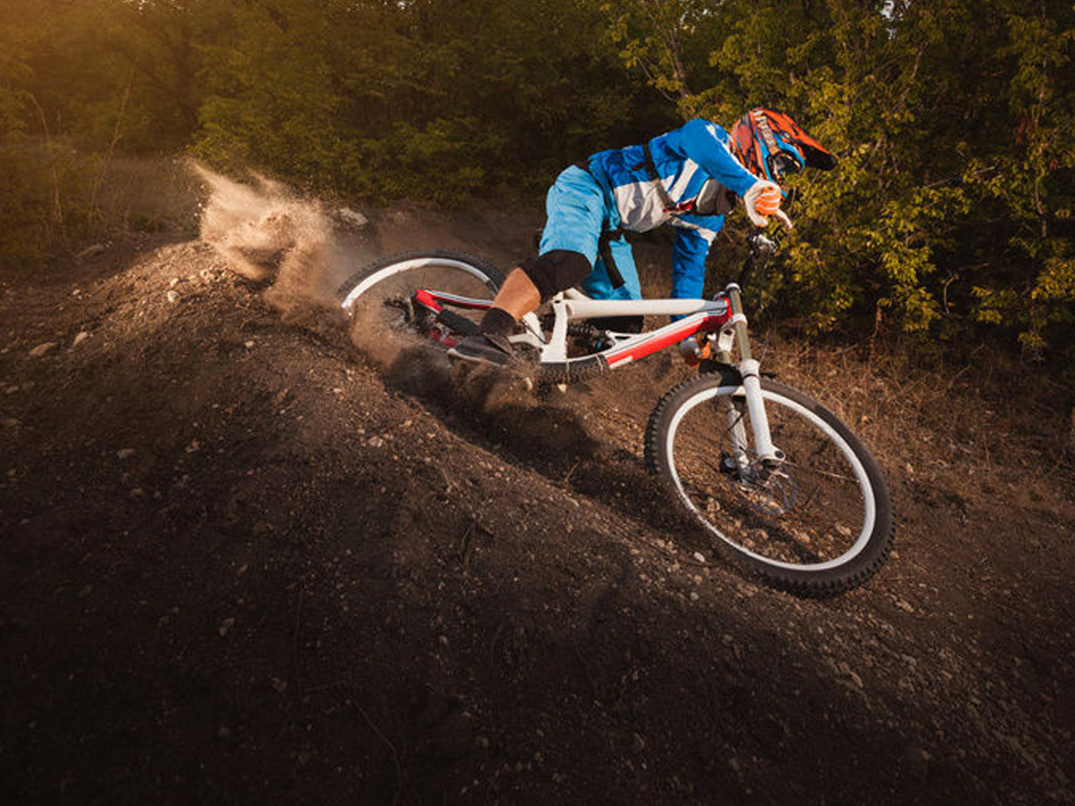 veloplus bicycle shop